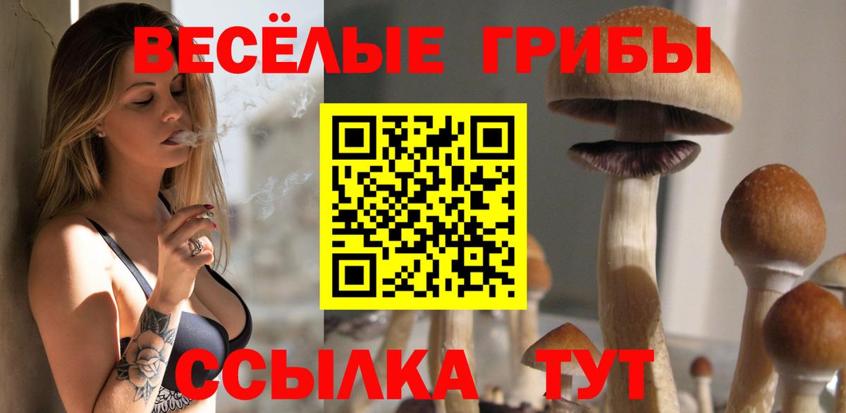 ЭКСТАЗИ Рубцовск
