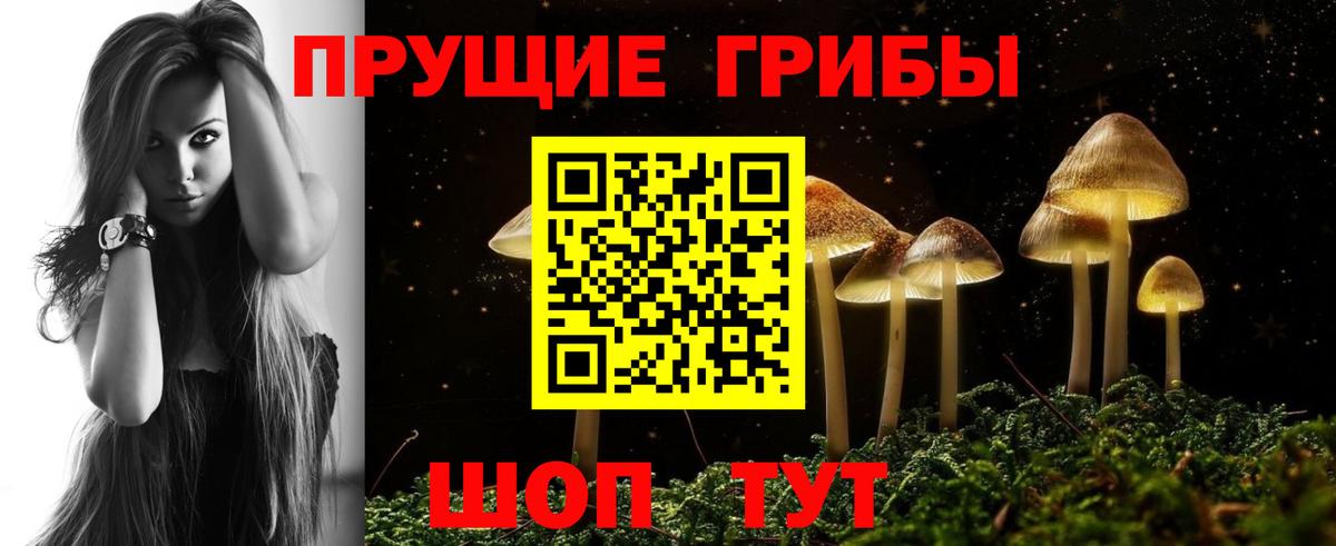Рубцовск  Псилоцибиновые грибы мицелий  Вход с VPN 